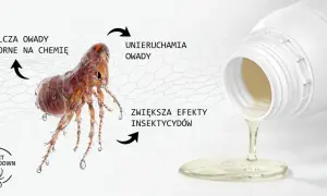 Jak pozbyć się pcheł u psa? Preparat zwalcza owady odporne na chemię, unieruchamia je i zwiększa efekty insektycydów.