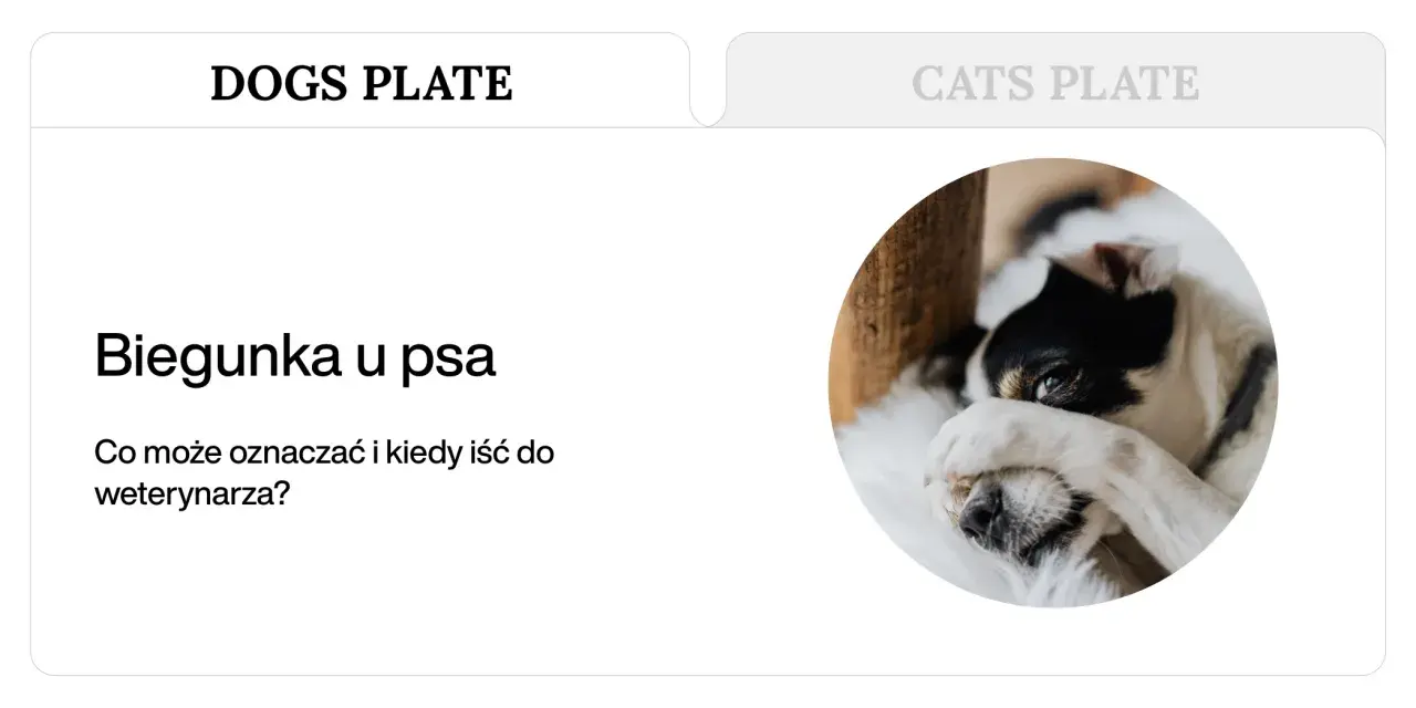 Smutny piesek z łapką na oku, sugerujący problem, jakim jest biegunka u psa. Artykuł wyjaśnia przyczyny i kiedy szukać pomocy weterynaryjnej.