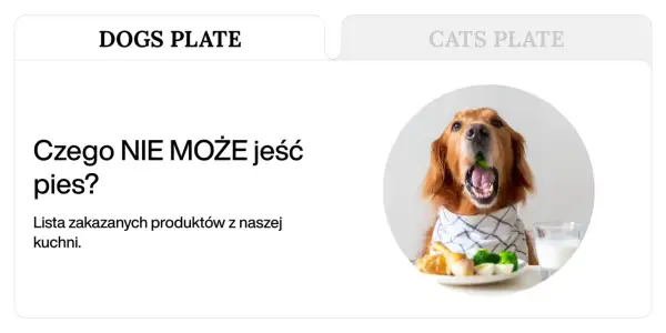 Złoty retriever z brokułem w pysku, obok talerz z jedzeniem i mlekiem. Temat: czego nie mogą jeść psy.