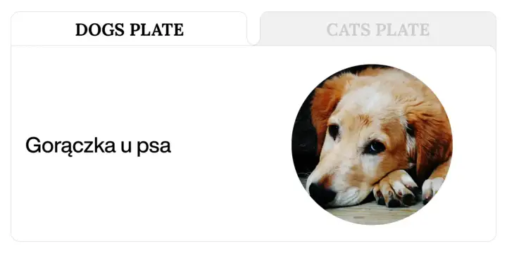 Gorączka u psa - Objawy, pomiar i kiedy do weterynarza?